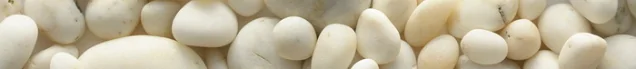Бордюр Belani Фрезия Ракушки Ракушка бежевый